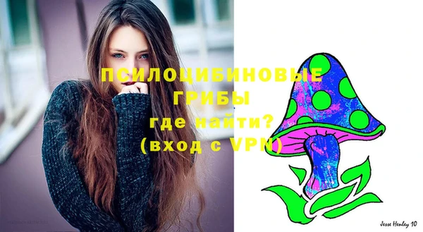 таблы Бронницы