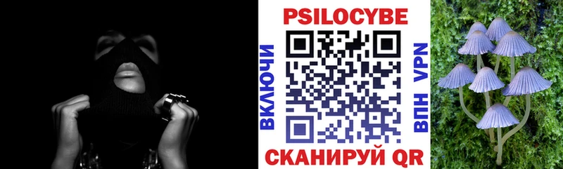 Псилоцибиновые грибы Magic Shrooms даркнет сайт Новая Усмань